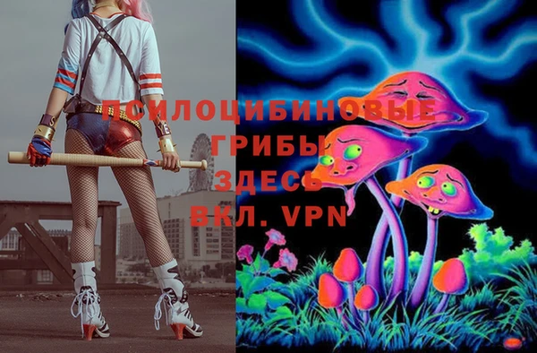 дживик Нефтекумск