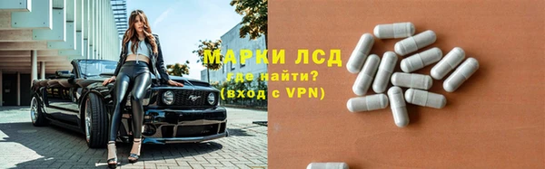 СК Абинск