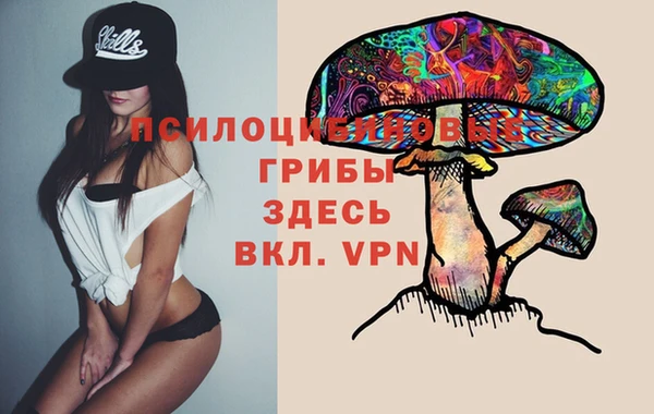 СК Абинск